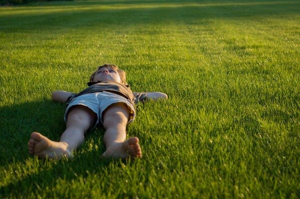 ahhh... it's nice to relax and watch the clouds go by, knowing that the lawn is safe to be on.