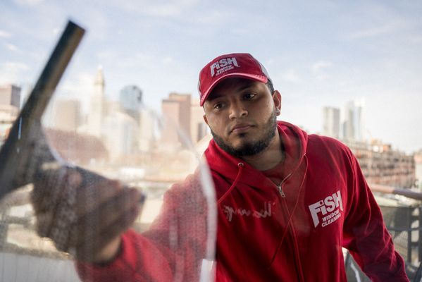 Fish Window Cleaning