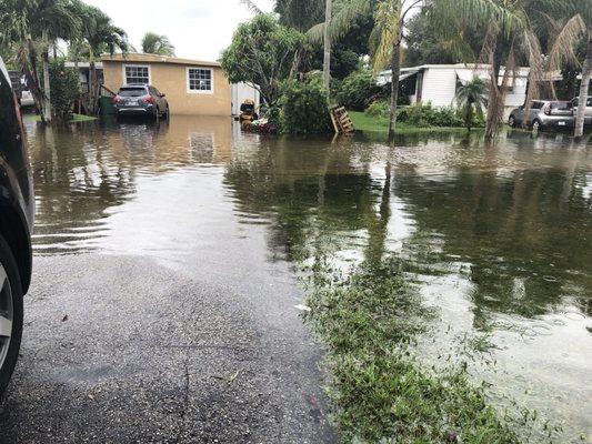 7th Court Davie Flooded again from last nights storm. When will the county or town of Davie do something about this we are all trapped again