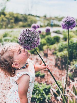 My daughter loved the Gladiator flowers too!