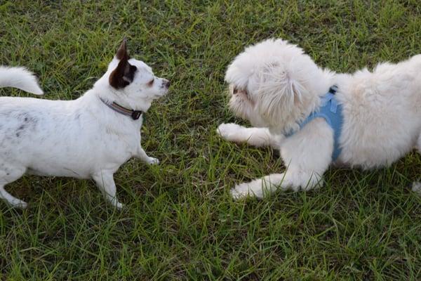 Meeting of Minds