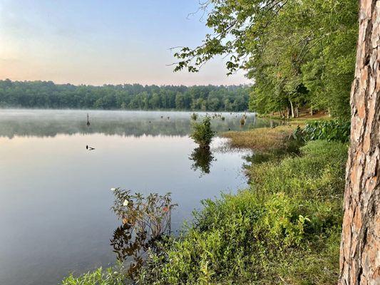 Hamburg State Park