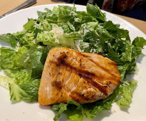 Salmon salad