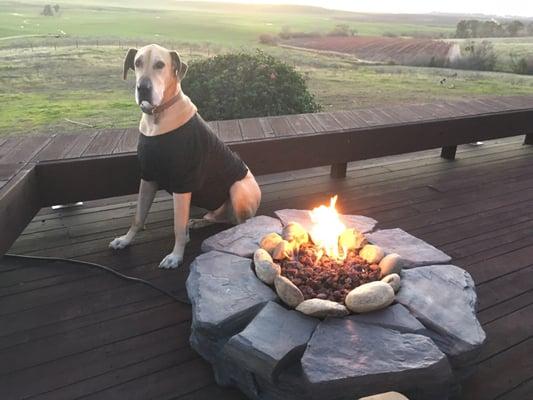 Conan enjoying his GOPRO TShirt by the fire.