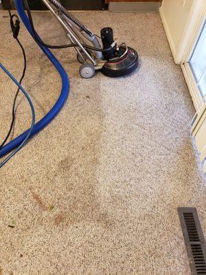 Heishman Floor & Upholstery Cleaning