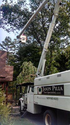 Jason Pilla Tree Specialist LLC