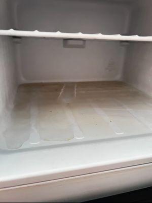 Uncleaned freezer