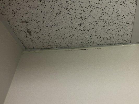 More mold on the bathroom ceiling