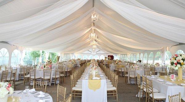 Frame Tent with Drapery Swags