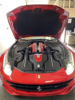 A beautiful red Ferrari