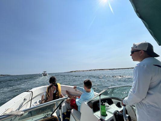 All Cape Boat Rentals