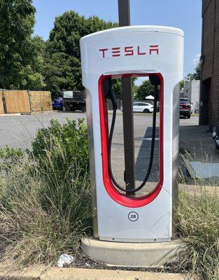 Tesla superchargers in the parking lot of WAWA.