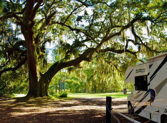 one of our many RV sites with lake views and beneath live oaks (a savannah staple)