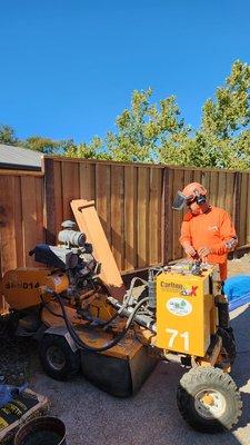 Roberto grinding the stumps