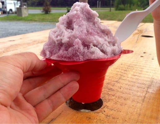 Holes cut in the picnic tables for your cups!