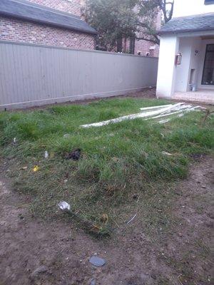 Before (landscape, drainage and irrigation). Houston Area