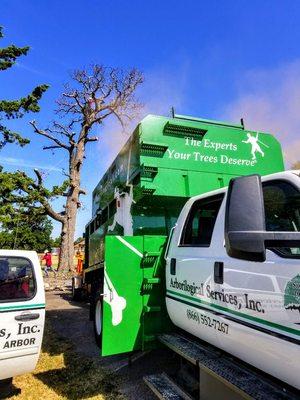 Tree removal