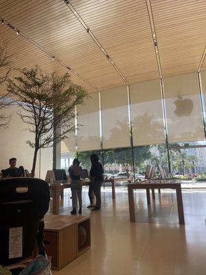 Apple Store