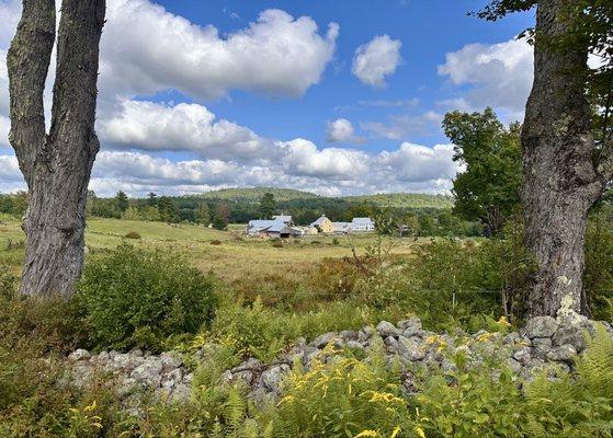 A view from the woods above the Remick farm.