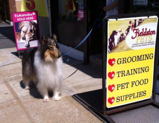 Just Groomed ...:)