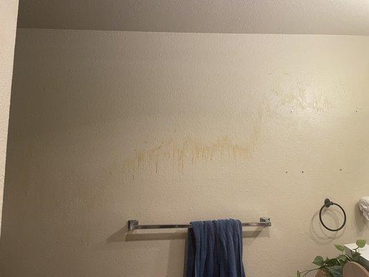 Crying cheap paint. This is what it looked like every month