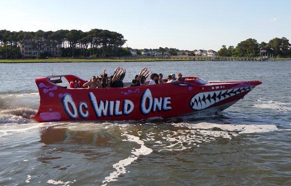 Ride the OC Wild One!