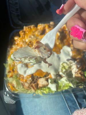 Dead knat in my Grilled Chicken Salad