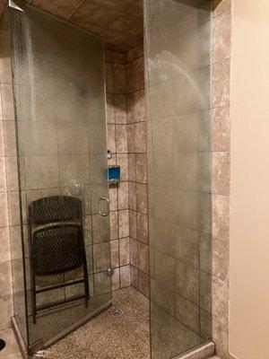 Steam shower