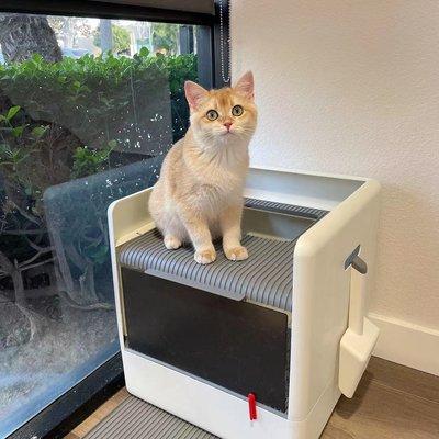 Cat litter box