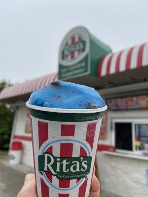 Blueberry water ice packed with blueberries!