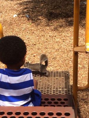 My son feeding one of the local squirrels.