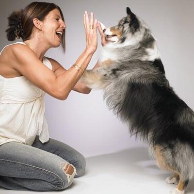 Blue Dog Training & Behavior