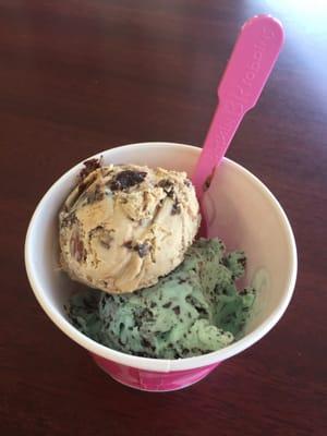 Lisa's double scoop of Mint Chocolate Chip and Jamoca Almond Fudge