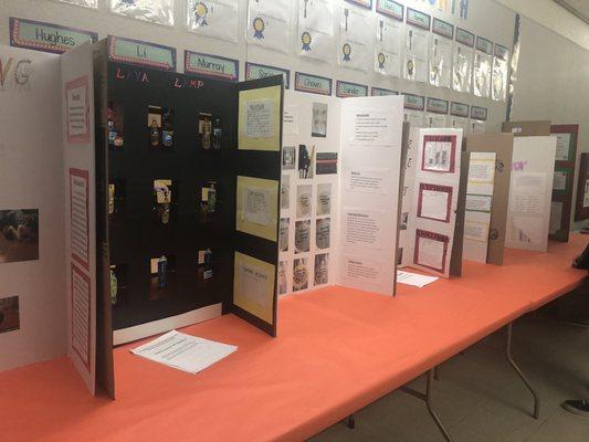 133 5th graders submitted science projects.