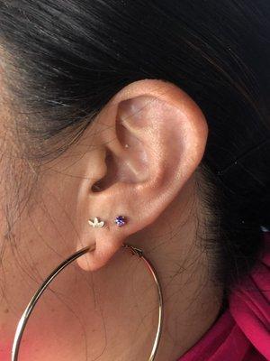 Stacked lobe- (the gold fan piece done by Aaron)