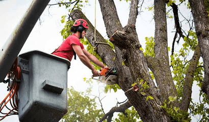 Garcia's Landscaping & Maintenance