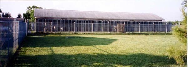 Indoor with outdoor patio boarding for dogs