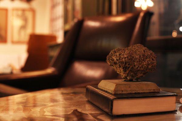 Early 20th Century Lead Coral Specimen Sculpture & Danish MCM Brown Leather Club Chair Designed by Folke Ohlsson for Fritz Hansen