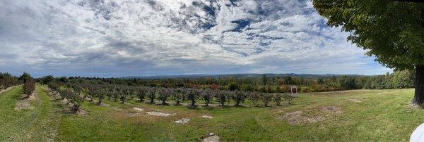 View of the stunning landscape from atop the hill