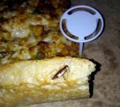 World Famous Cockroach Pizza. No joke.