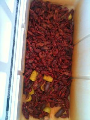 We have crawfish!