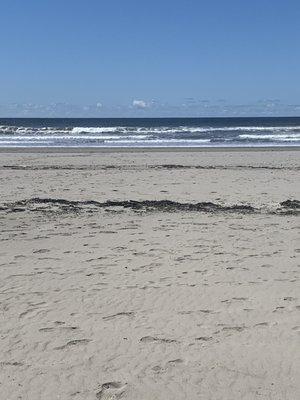 Beach near the lighthouse