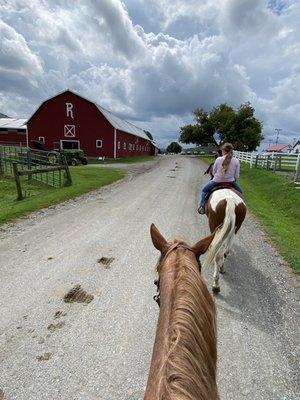 Heading back to the barn