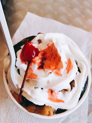 Hot fudge with wet walnuts on S'mores and Butter Pecan ice cream .