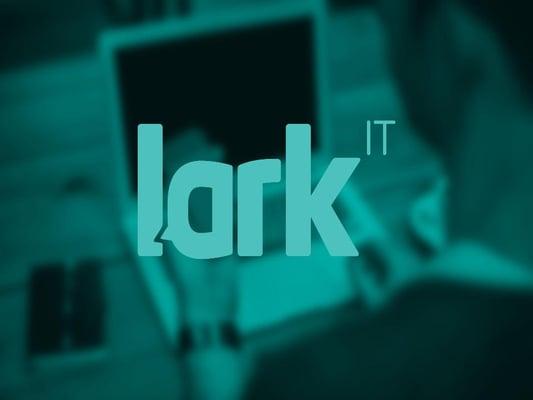 Lark Information Technology