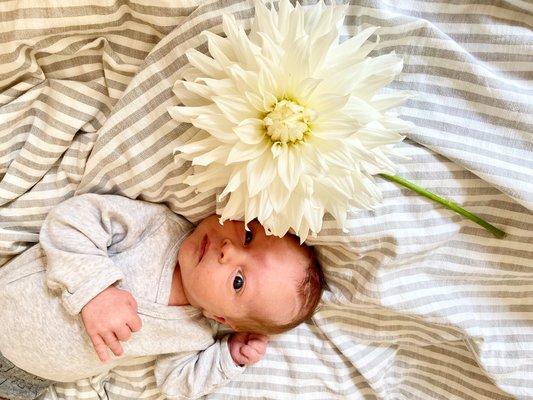 When the garden flowers are bigger than your baby's head.