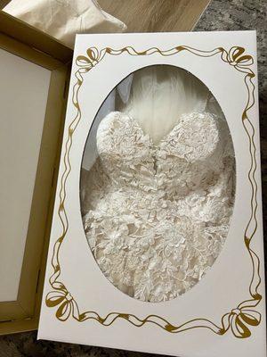 preserved wedding dress