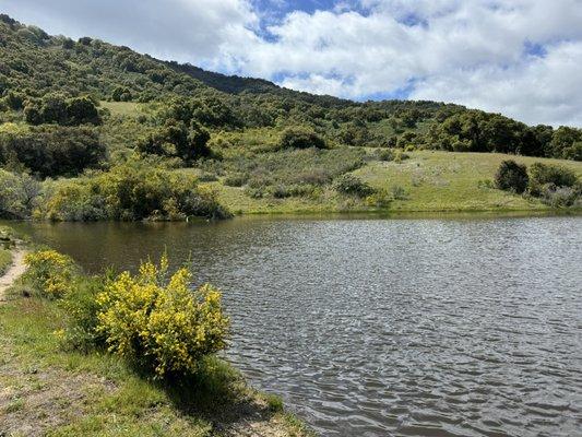 mesa pond