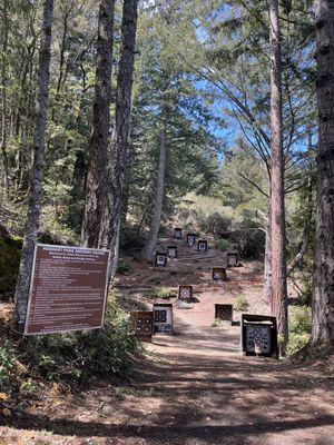 Practice range before you start the 14 target course!