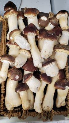 Locally grown Wine Cap mushrooms in our produce department.